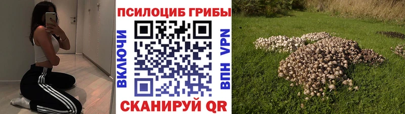 Псилоцибиновые грибы Magic Shrooms где купить Билибино